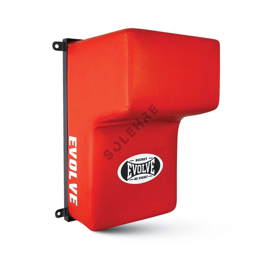 Wall Mounted Pads-EV-38-3809