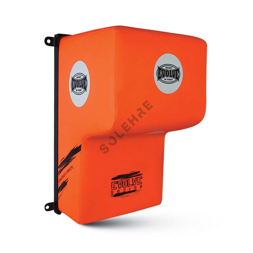 Wall Mounted Pads-EV-38-3811