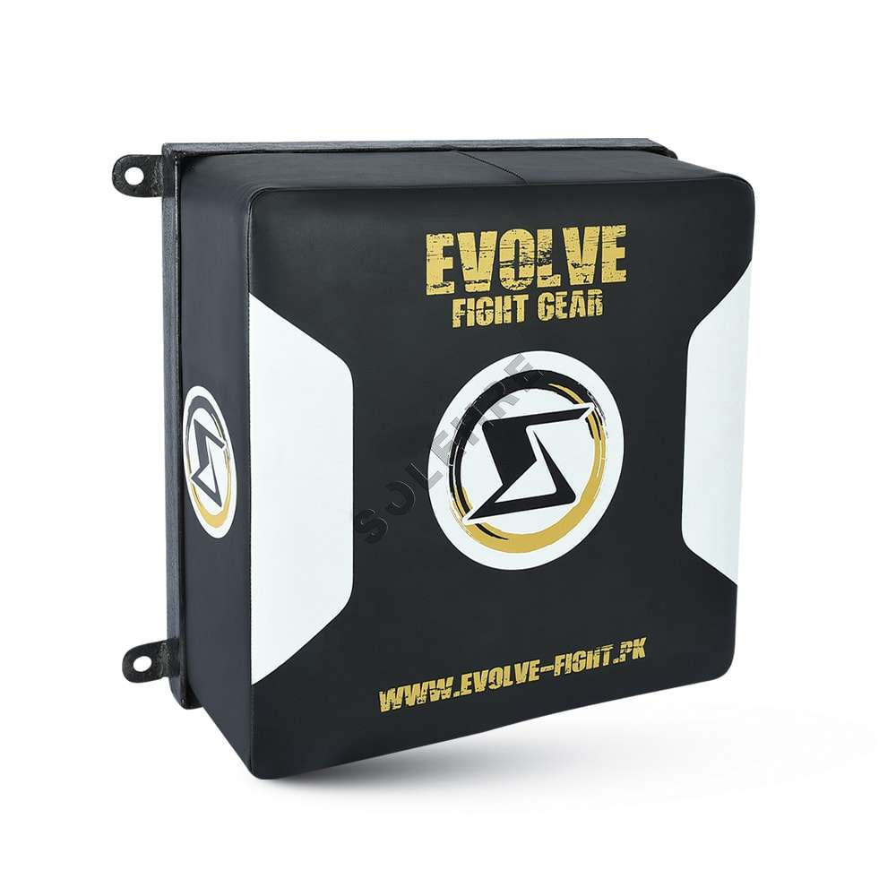 Wall Mounted Pads-EV-38-3815