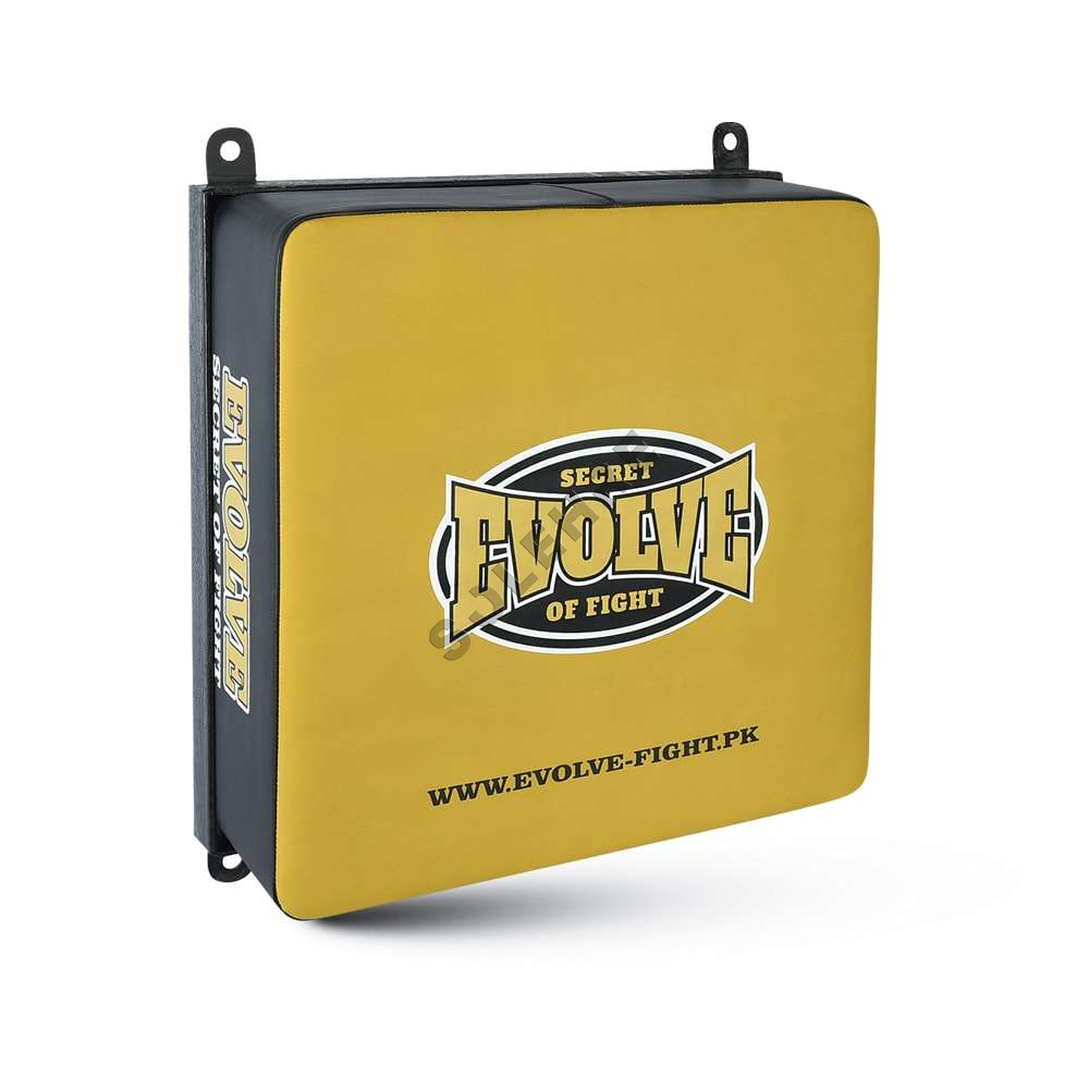 Wall Mounted Pads-EV-38-3816