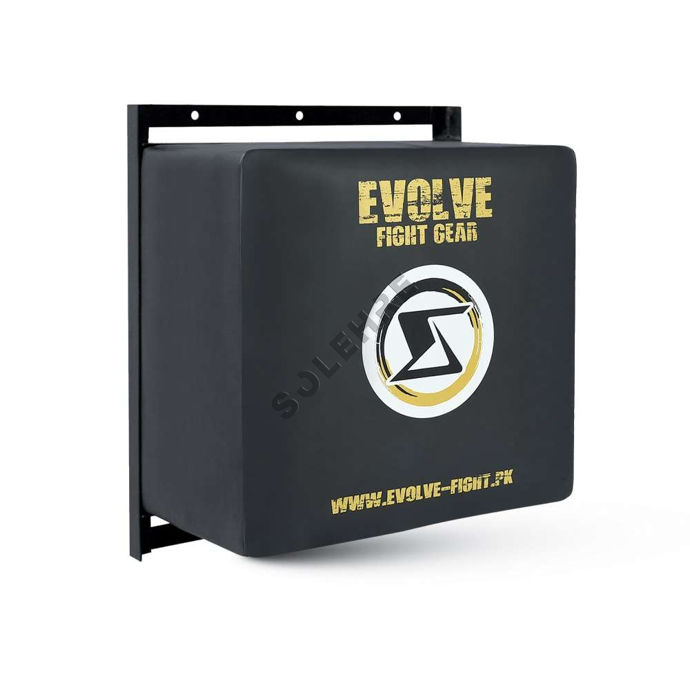 Wall Mounted Pads-EV-38-3820