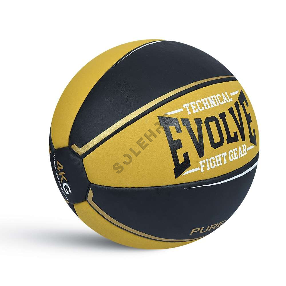 Medicine Balls-EV-43-4308